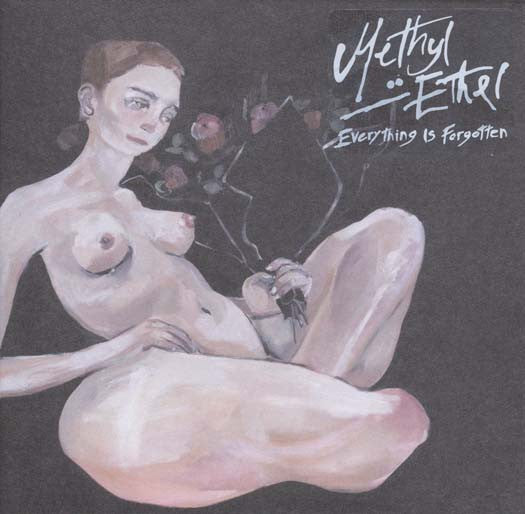 METHYL ETHEL Everything is Forgotten Vinyl LP 2017