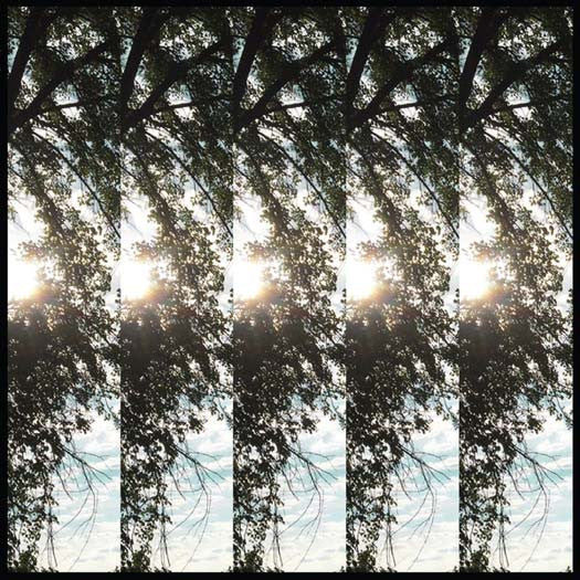PONTIAK Dialectic Of Ignorance Vinyl LP 2017