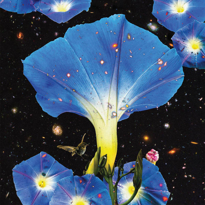 Sarah Louise Nighttime Birds & Morning Stars Vinyl LP 2019