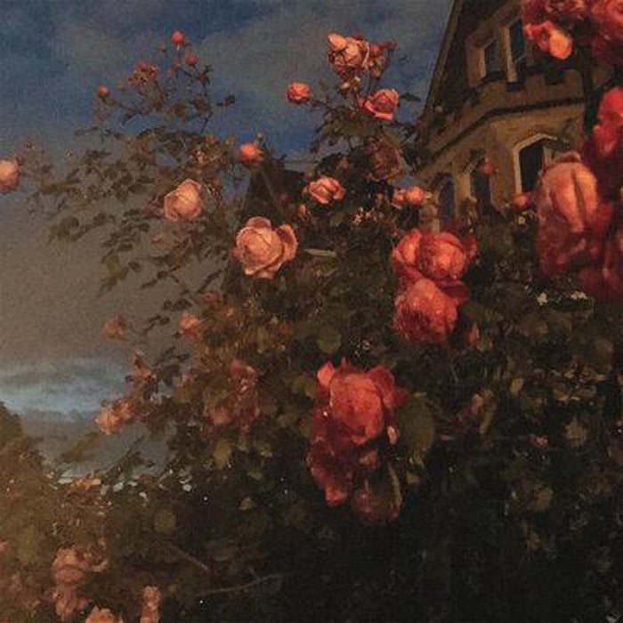 John Bence - Love Vinyl LP Blood Orange 2020