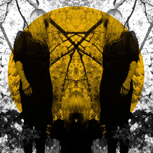 AUSTRA FEEL IT BREAK LP VINYL NEW (US) 33RPM