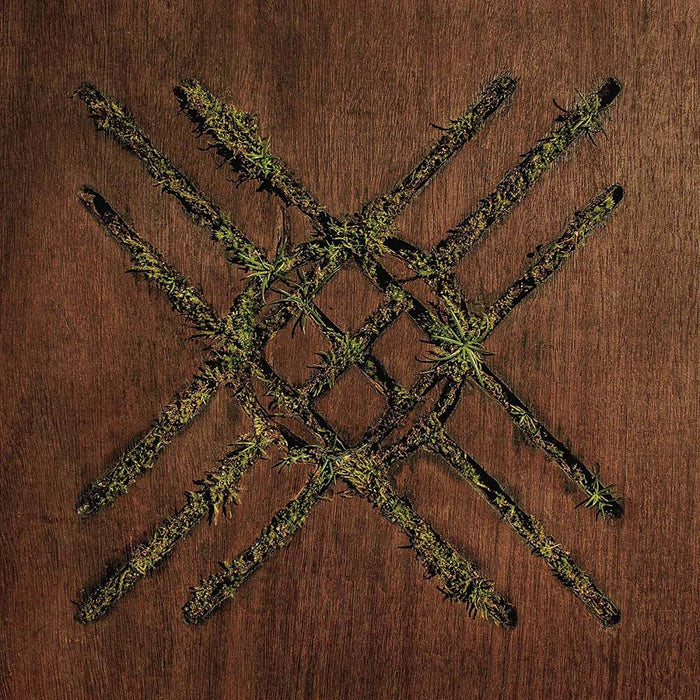 Moon Tooth - Violent Grief Acoustic Selections Vinyl EP 2020