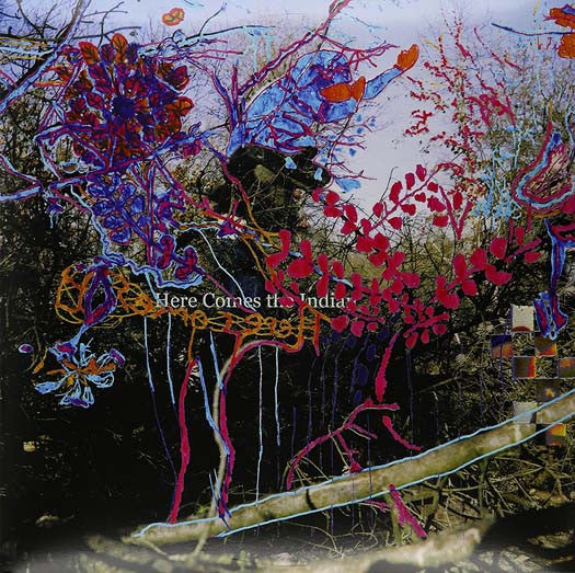 Animal Collective Here Comes The Indian Vinyl LP 2017