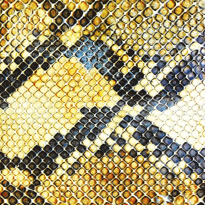 AMAZING SNAKEHEADS AMPHETAMINE BALLADS LTD ED LP VINYL  2DISC  NEW