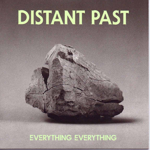 EVERYTHING EVERYTHING DISTANT PAST 7 INCH VINYL SINGLE NEW