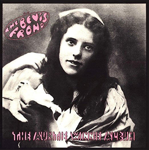 The Bevis Frond The Auntie Winnie  Vinyl LP 2017