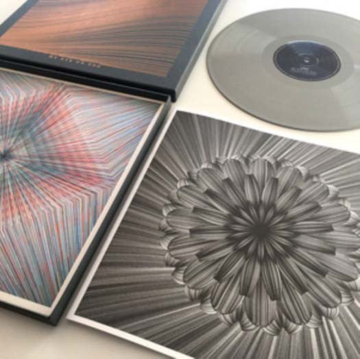TOYDRUM My Eye on You Vinyl LP 2017