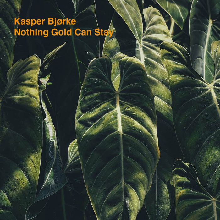 Kasper Bjorke Nothing Gold Can Stay Vinyl LP Edition 2019