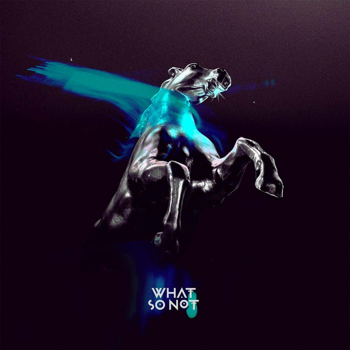 WHAT SO NOT Not All The Beautiful Things Vinyl LP 2018