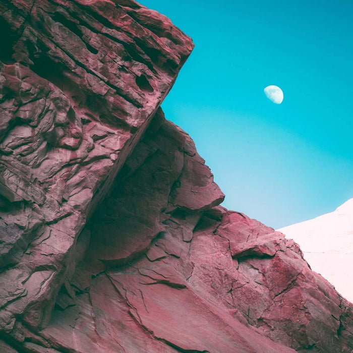Bonobo - Linked Vinyl Single Sided Limited Edition 2019