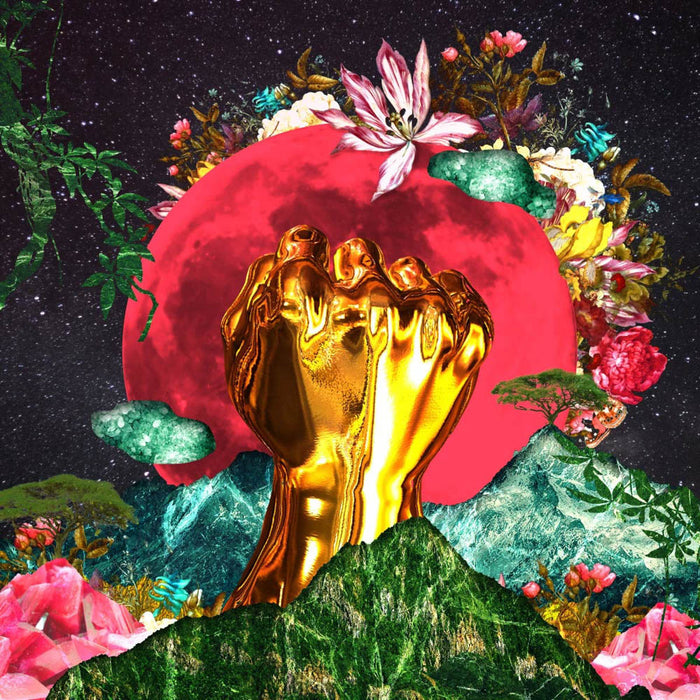 Rina Mushonga In A Galaxy Vinyl LP 2019