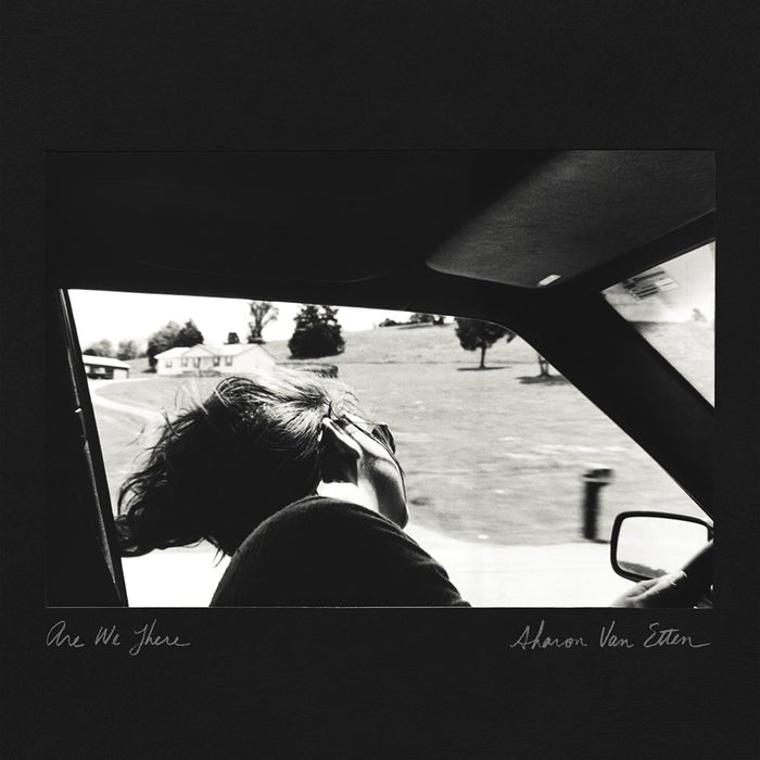Sharon Van Etten Are We There Vinyl LP Clear + Black & Blue Colour LOVE RECORD STORES 2021