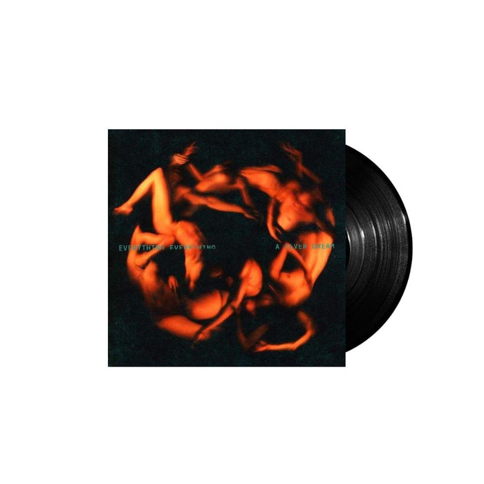 Everything Everything A Fever Dream Vinyl LP 2017