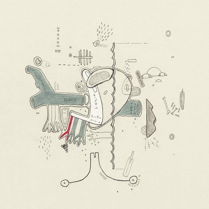 Frightened Rabbit Tiny Changes: A Celebration of the Midnight Organ Fight Vinyl LP 2019