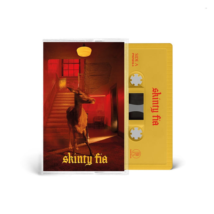 Fontaines D.C. Skinty Fia Cassette 2022
