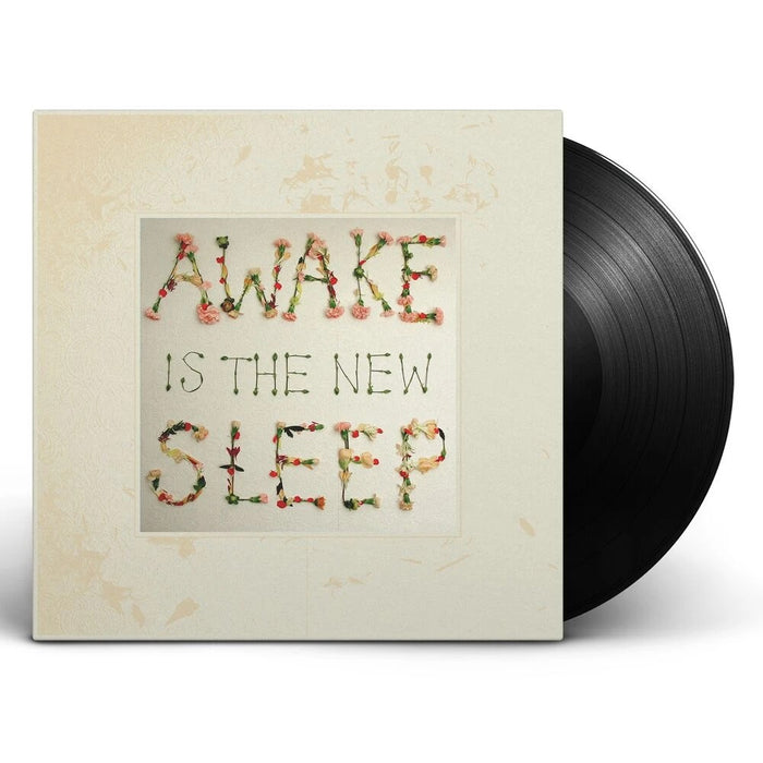 Ben Lee Awake Is The New Sleep Deluxe Vinyl LP 10th Anniversary 2015
